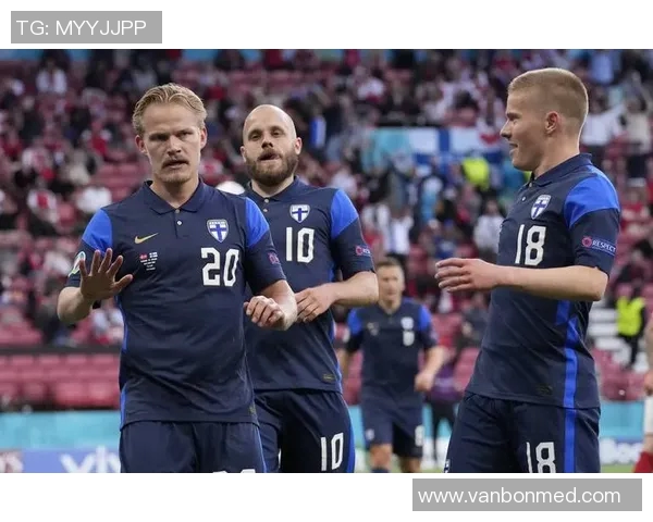 芬兰对阵爱尔兰精彩视频直播全程回放与赛后分析